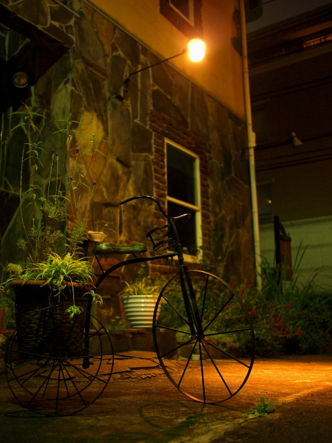 代官山snap