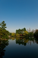 水面に映る秋景