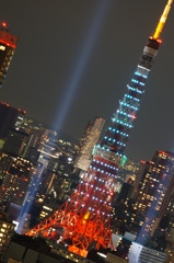 2012/11/3 東京タワーエメラルドグリーン イルミネーション