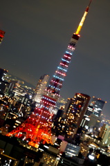 2012/11/3 東京タワークリスマスイルミネーション始まる