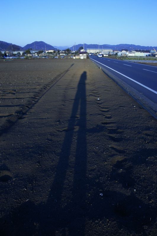 背伸び・・。
