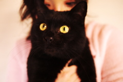 ねことともだち