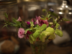 近所の喫茶店はいつも花にあふれている