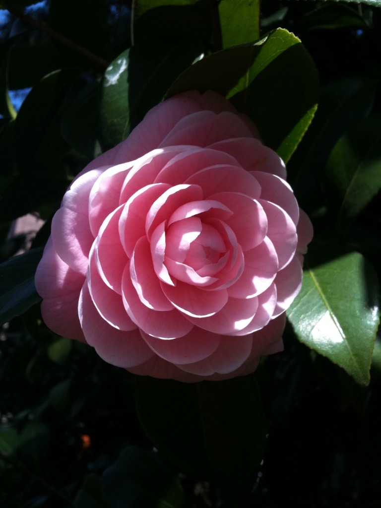 幾重にも