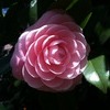 幾重にも