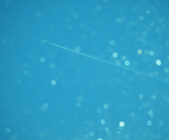 Aqua Blue