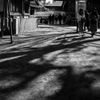 冬の境内