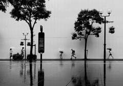 雨の神戸