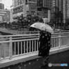 雨