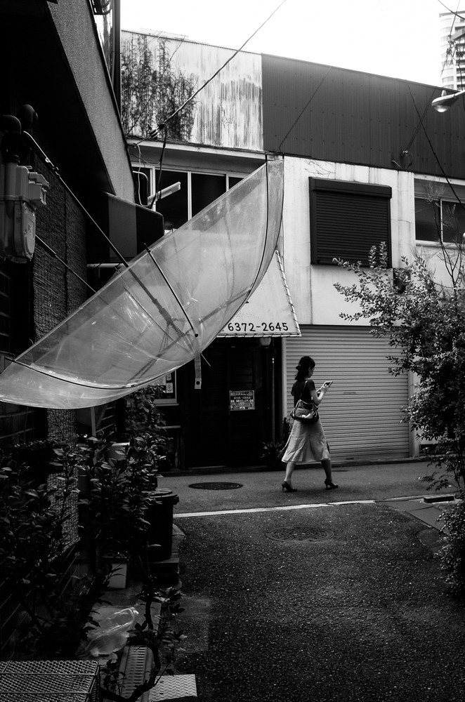 路地から