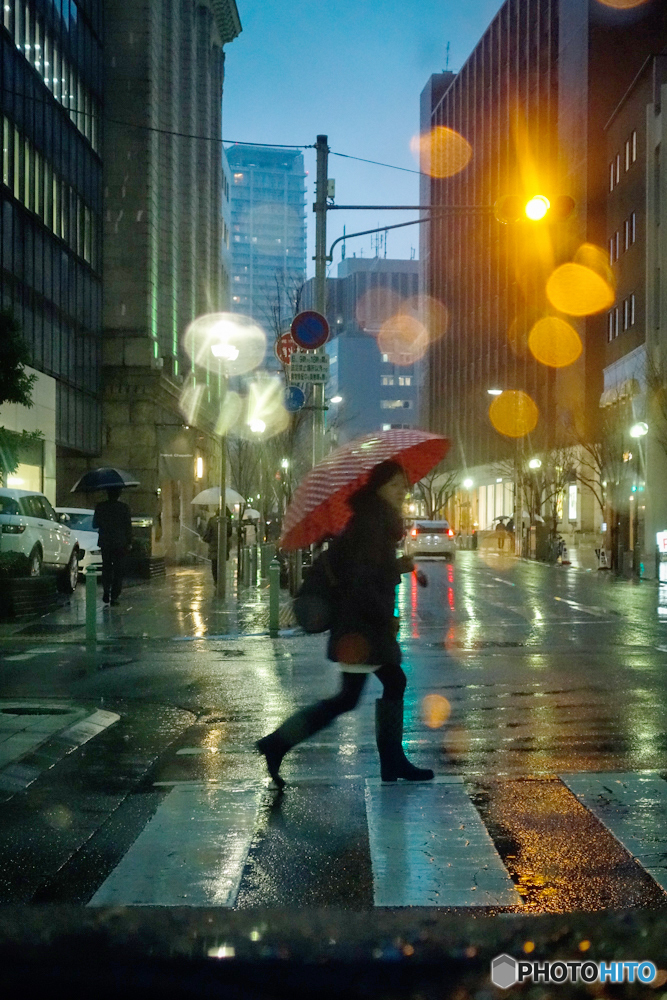 雨の通り