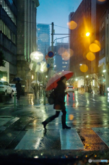 雨の通り