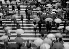 雨の雑踏