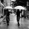雨中の会話