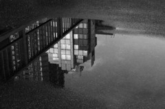 雨上り