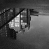 雨上り