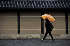 雨の京都