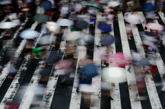雨の歩道
