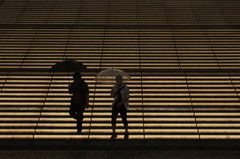 雨の歩み