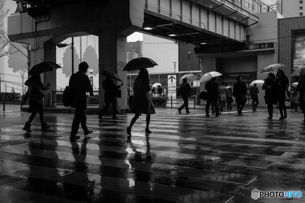 雨の横断歩道