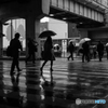 雨の横断歩道