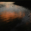 夕暮れ