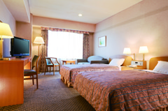 本館ＤＸツイン（３１平米）