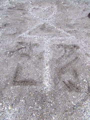 画像 137
