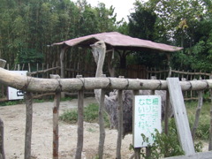 画像 091