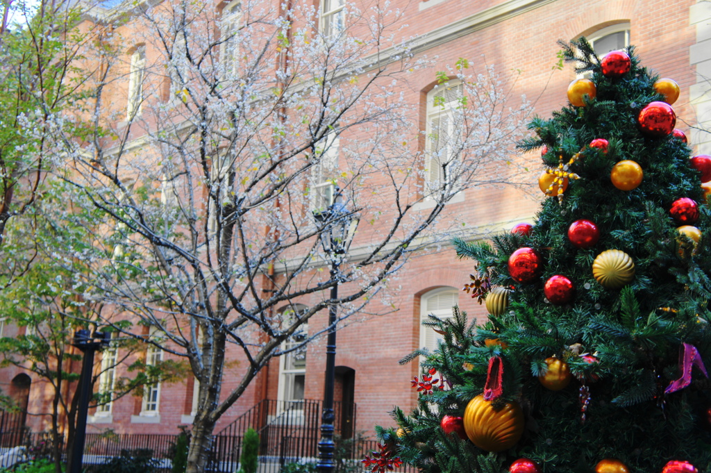 Marunouchi Park