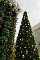 YOKOHAMA MOTOMACHI