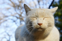 うつらうつら