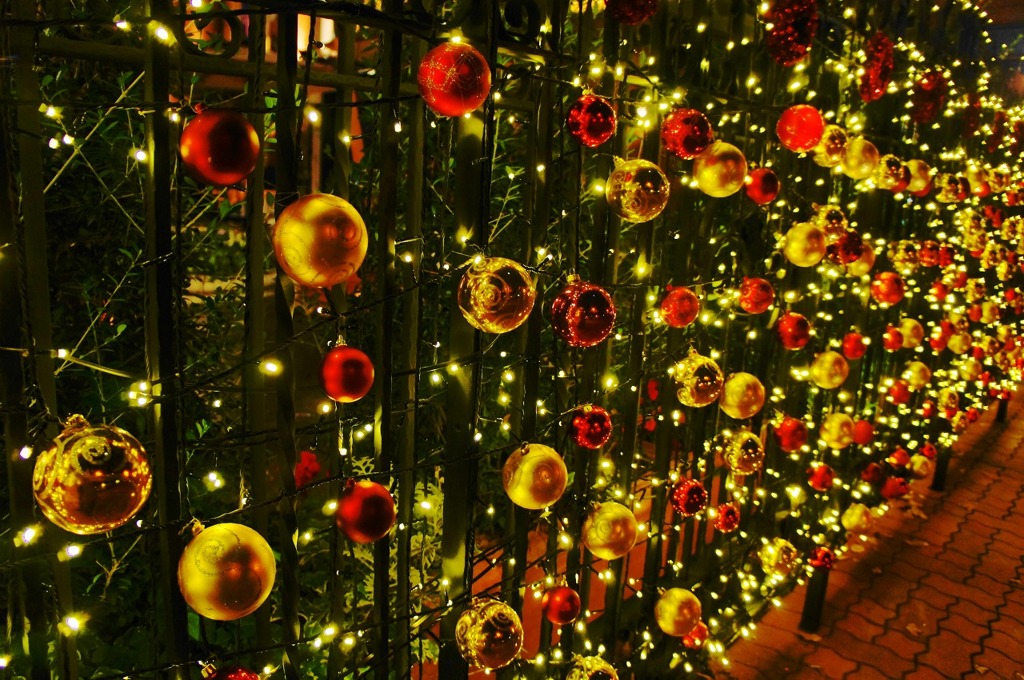 Xmas illumination　