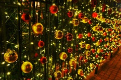 Xmas illumination　