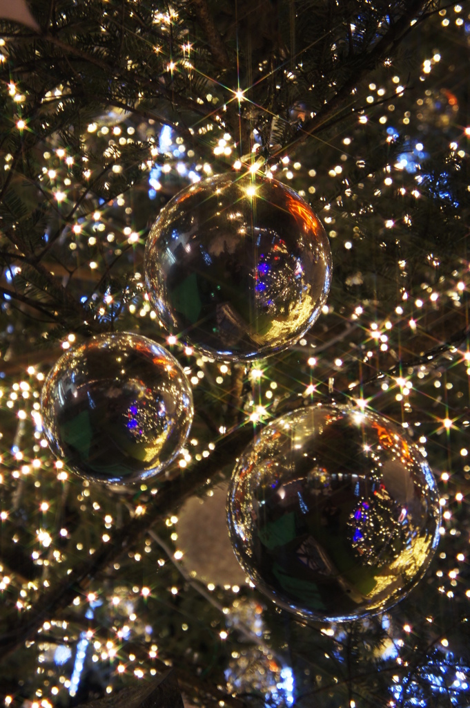Xmas illumination　