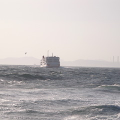 東京湾フェリー