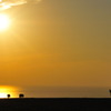 新冠の夕日
