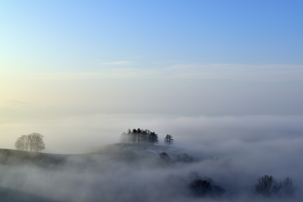 丸加高原　霧の朝