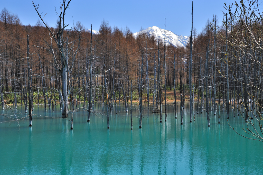 ＢＬＵＥ　ＰＯＮＤ