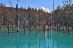 ＢＬＵＥ　ＰＯＮＤ
