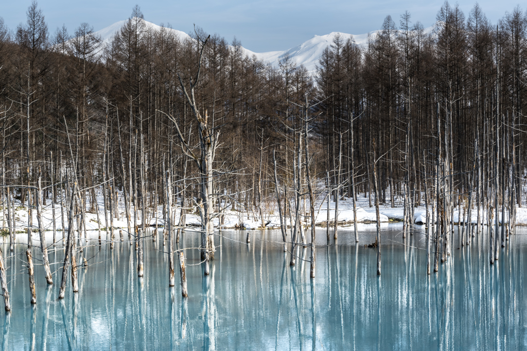 雪の池から青い池へ