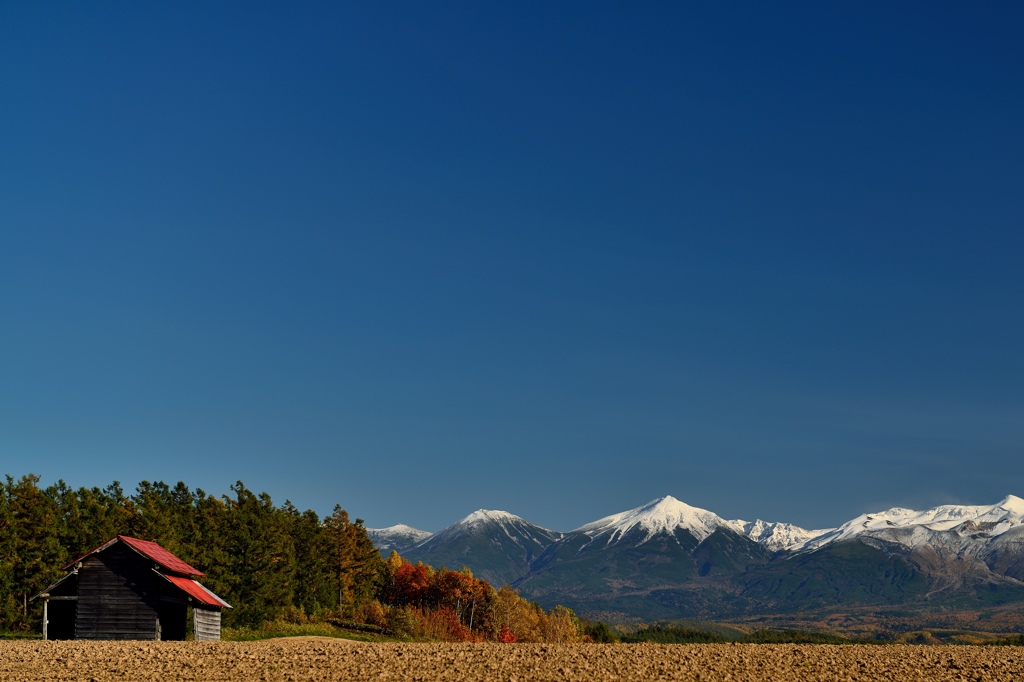 美瑛　１０月の十勝岳連峰