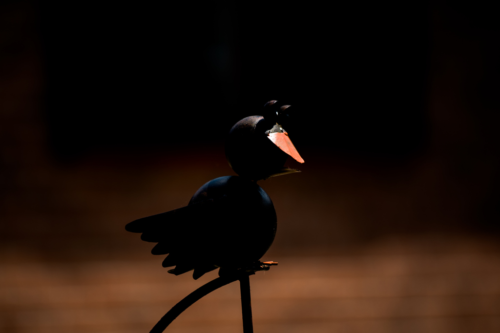 飛ばない鳥 by スーパーリリ （ID：5118918） 写真共有サイトPHOTOHITO