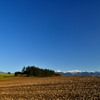 美瑛 大地に近づく厳しいシーズン