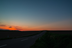 美瑛　夕空につながる道