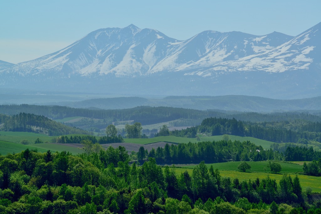 美瑛のパノラマ風景