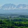 美瑛のパノラマ風景