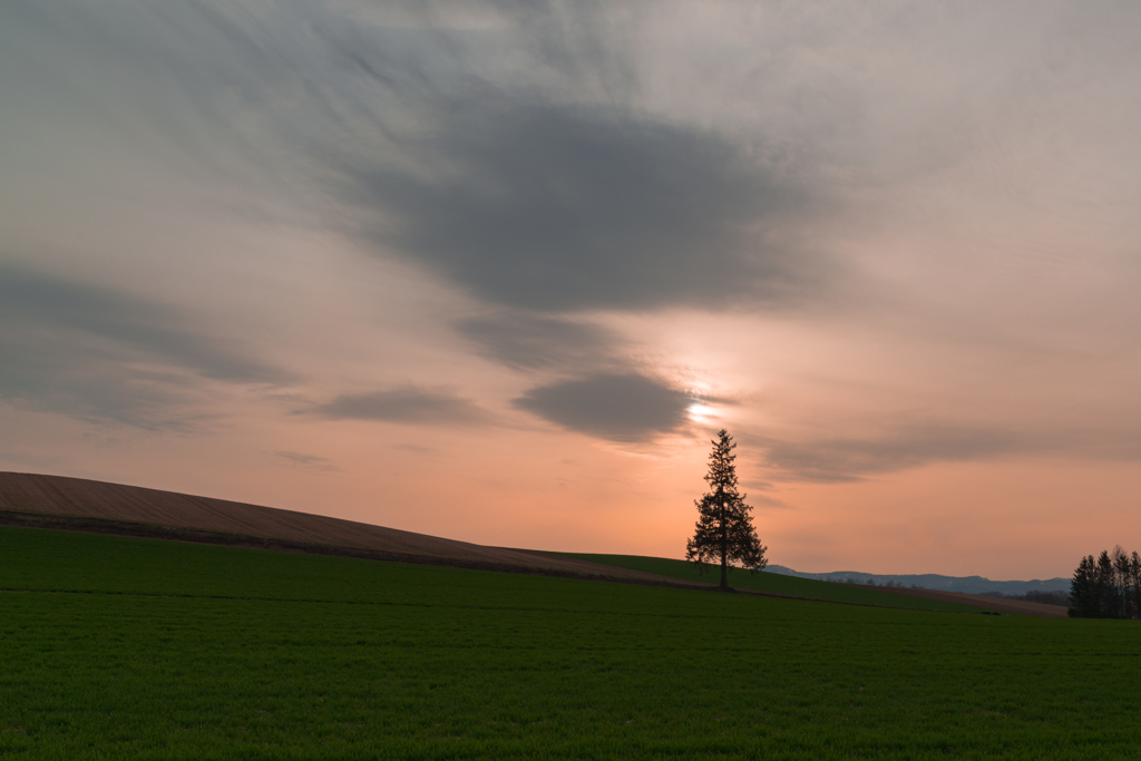 美瑛　短い春の夕暮れ