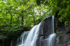 初夏の滝