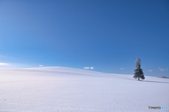 空と雪原